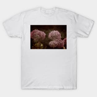 Allium Hollandicum T-Shirt